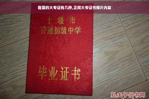 我国的大专证有几种,正规大专证书相片内容
