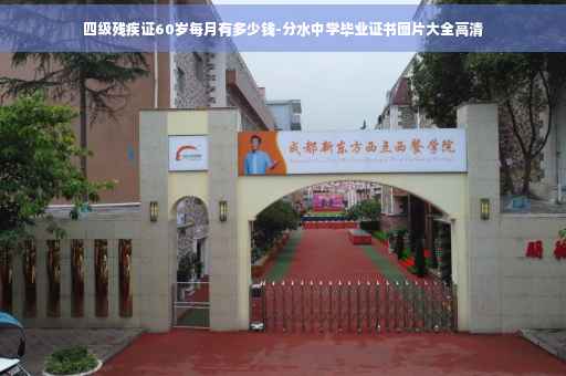 四级残疾证60岁每月有多少钱-分水中学毕业证书图片大全高清