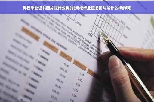 党校毕业证书图片是什么样的(党校毕业证书图片是什么样的啊)