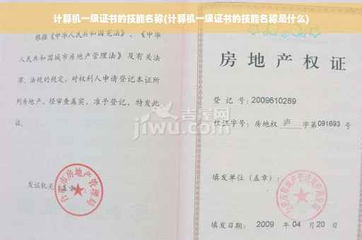 计算机一级证书的技能名称(计算机一级证书的技能名称是什么)