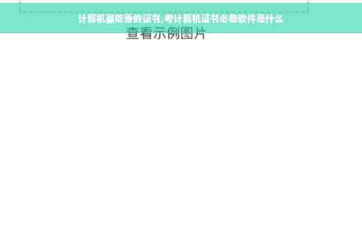计算机最吃香的证书,考计算机证书必备软件是什么