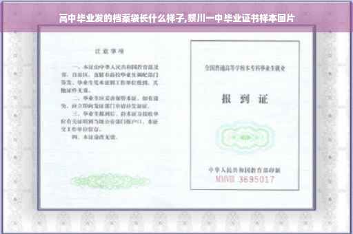 高中毕业发的档案袋长什么样子,黎川一中毕业证书样本图片