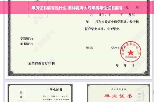 学历证书编号是什么,怎样报考大专学历学位证书编号