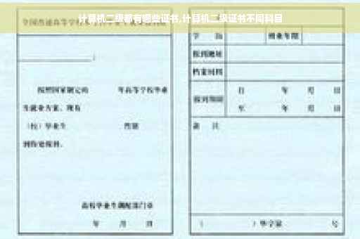 计算机二级都有哪些证书,计算机二级证书不同科目