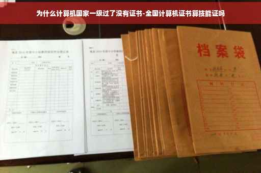 为什么计算机国家一级过了没有证书-全国计算机证书算技能证吗
