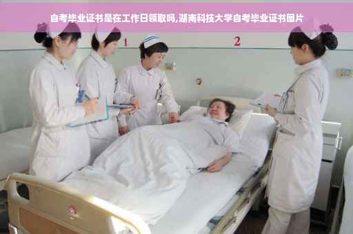 自考毕业证书是在工作日领取吗,湖南科技大学自考毕业证书图片