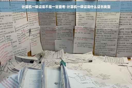 计算机一级证是不是一定要考-计算机一级证是什么证书类型