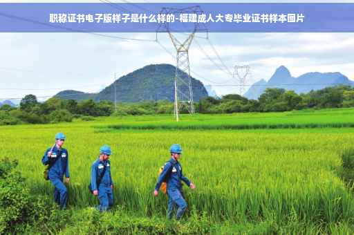 职称证书电子版样子是什么样的-福建成人大专毕业证书样本图片