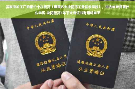 苏家屯加工厂的那个十八职高（后更名为沈阳市工业技术学校），进去当老师要什么学历-沈阳职高3年下大专证书有用吗知乎