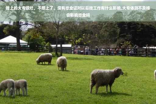 我上的大专很烂，不想上了。没有毕业证对以后找工作有什么影响,大专体测不及格会影响毕业吗