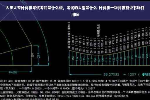 大学大专计算机考试考的是什么证，考试的大纲是什么-计算机一级师技能证书吗能用吗