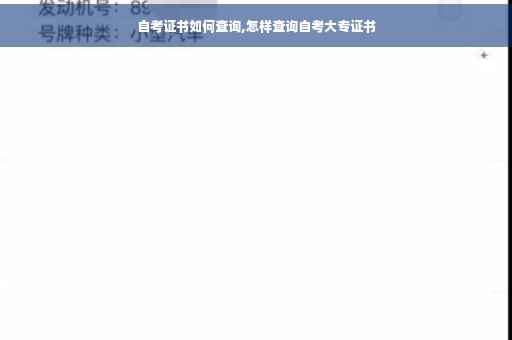 自考证书如何查询,怎样查询自考大专证书