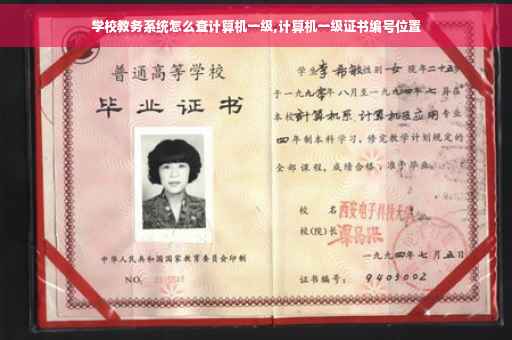 学校教务系统怎么查计算机一级,计算机一级证书编号位置