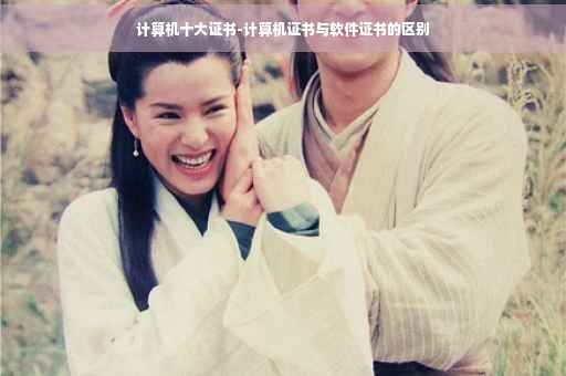 计算机十大证书-计算机证书与软件证书的区别