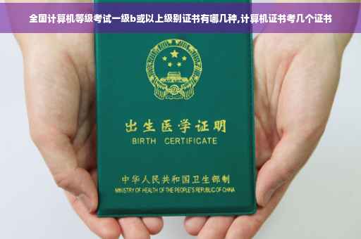 全国计算机等级考试一级b或以上级别证书有哪几种,计算机证书考几个证书