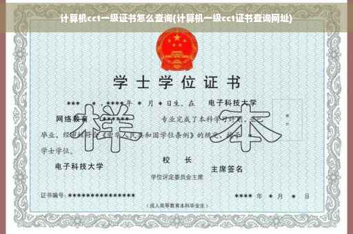 计算机cct一级证书怎么查询(计算机一级cct证书查询网址)