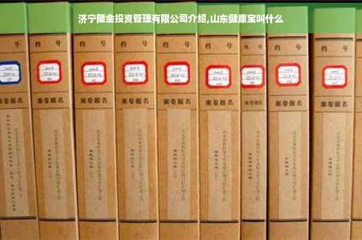 济宁隆金投资管理有限公司介绍,山东健康宝叫什么