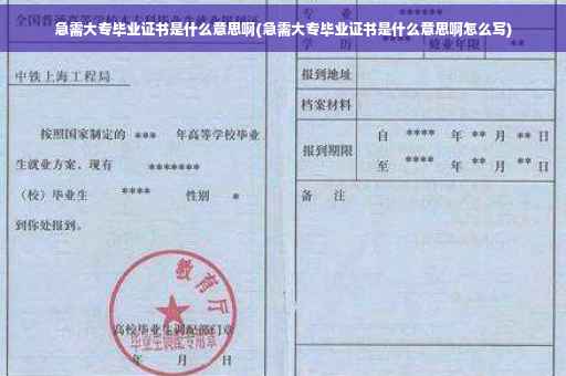 急需大专毕业证书是什么意思啊(急需大专毕业证书是什么意思啊怎么写)
