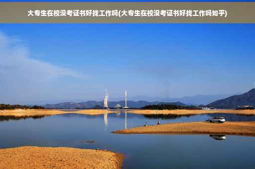 大专生在校没考证书好找工作吗(大专生在校没考证书好找工作吗知乎)