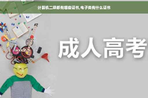 计算机二级都有哪些证书,电子类有什么证书