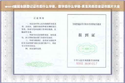 word编辑车辆登记证书是什么字体，数字是什么字体-男生另类毕业证书图片大全
