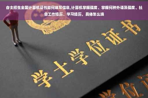 自主招生全国计算机证书如何填写信息,计算机掌握程度、掌握何种外语及程度、社会工作经历、学习经历，具体怎么填