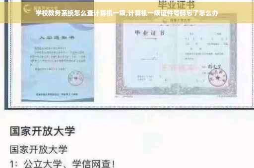 学校教务系统怎么查计算机一级,计算机一级证件号码忘了怎么办