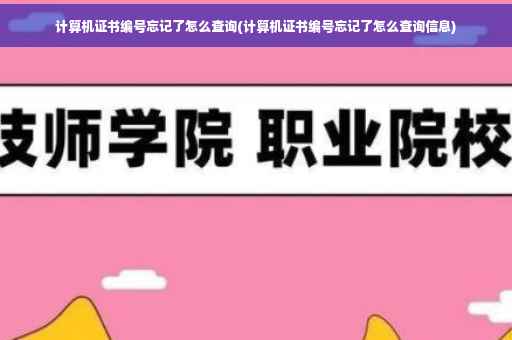 计算机证书编号忘记了怎么查询(计算机证书编号忘记了怎么查询信息)