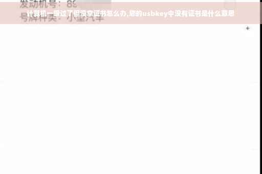 计算机一级过了但没拿证书怎么办,您的usbkey中没有证书是什么意思