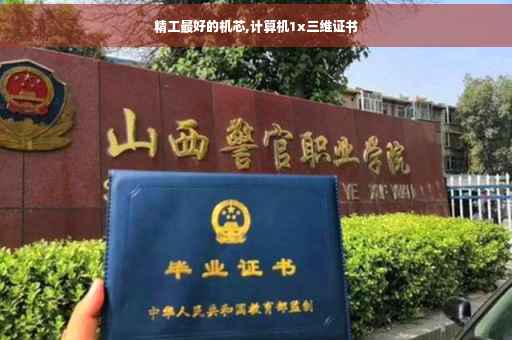 精工最好的机芯,计算机1x三维证书