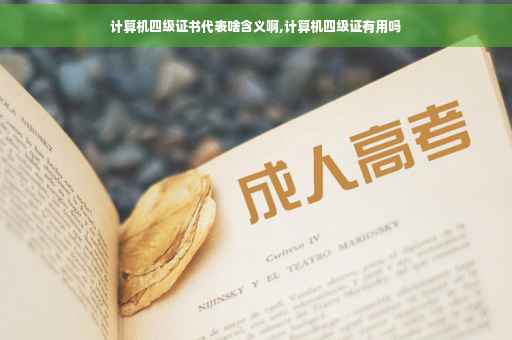 计算机四级证书代表啥含义啊,计算机四级证有用吗