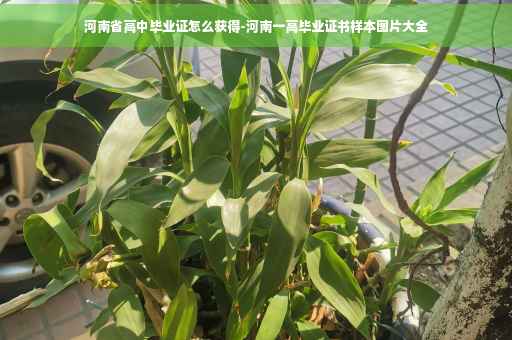 河南省高中毕业证怎么获得-河南一高毕业证书样本图片大全