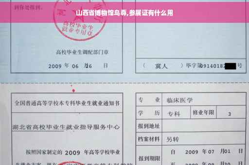 山西省博物馆鸟尊,参展证有什么用