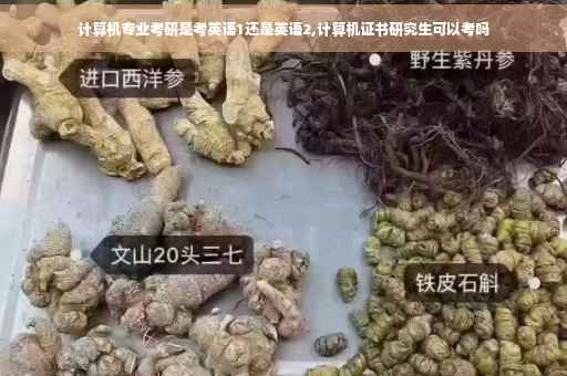 计算机专业考研是考英语1还是英语2,计算机证书研究生可以考吗