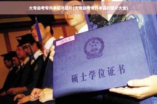 大专自考专升本证书图片(大专自考专升本证书图片大全)