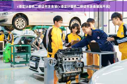 c语言计算机二级证书含金量(c语言计算机二级证书含金量高不高)