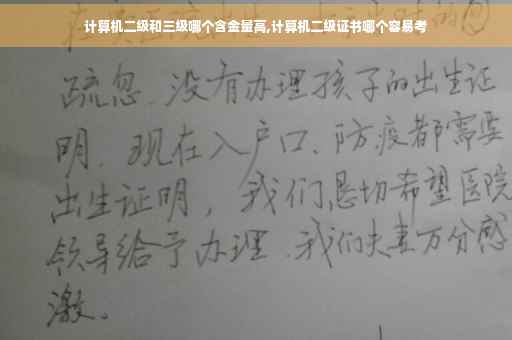 计算机二级和三级哪个含金量高,计算机二级证书哪个容易考