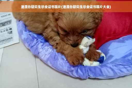 港澳台研究生毕业证书图片(港澳台研究生毕业证书图片大全)