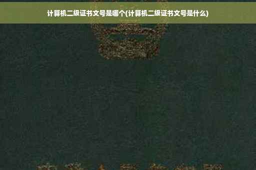 计算机二级证书文号是哪个(计算机二级证书文号是什么)