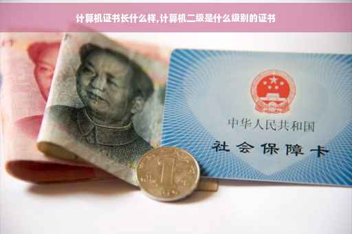 计算机证书长什么样,计算机二级是什么级别的证书