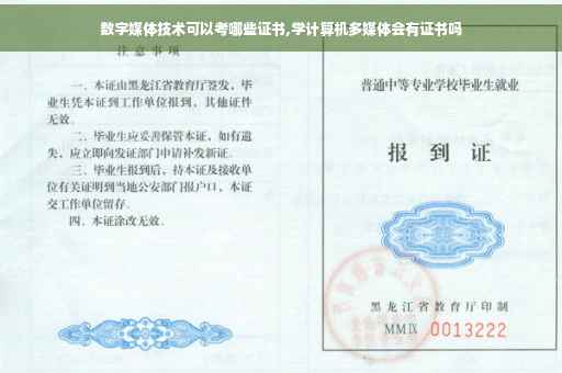 数字媒体技术可以考哪些证书,学计算机多媒体会有证书吗