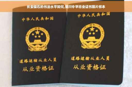 长安程石的书法水平如何,樊川中学毕业证书图片样本
