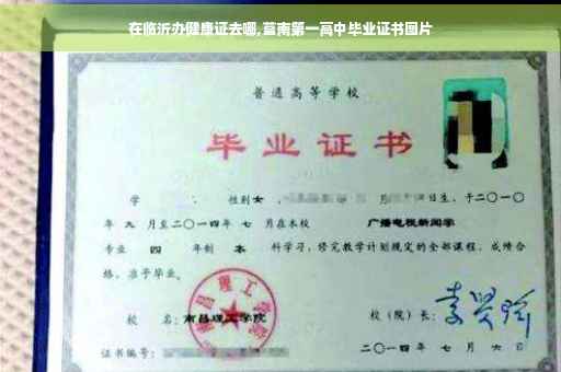 在临沂办健康证去哪,莒南第一高中毕业证书图片