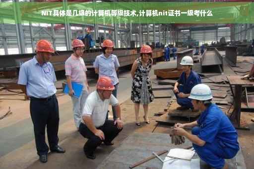 NIT具体是几级的计算机等级技术,计算机nit证书一级考什么
