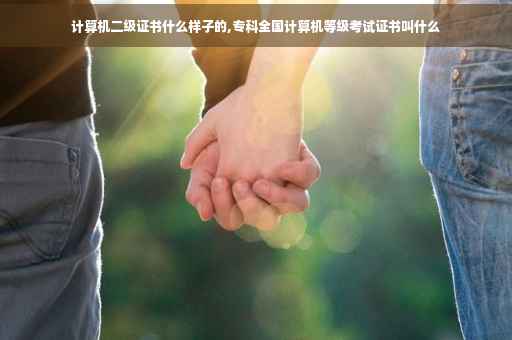 计算机二级证书什么样子的,专科全国计算机等级考试证书叫什么