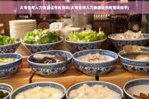 大专生考人力资源证书有用吗(大专生考人力资源证书有用吗知乎)