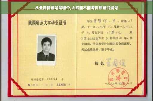 从业资格证号是哪个,大专能不能考资质证书编号