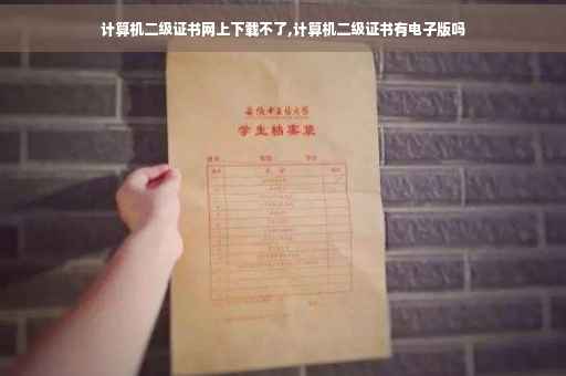 计算机二级证书网上下载不了,计算机二级证书有电子版吗