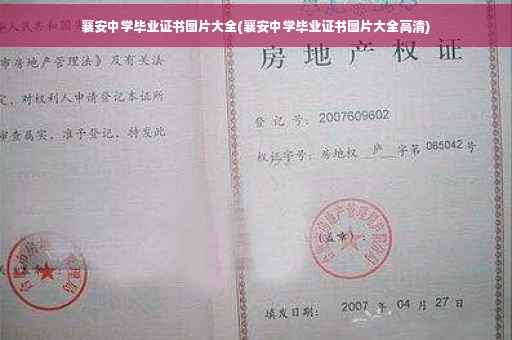 襄安中学毕业证书图片大全(襄安中学毕业证书图片大全高清)