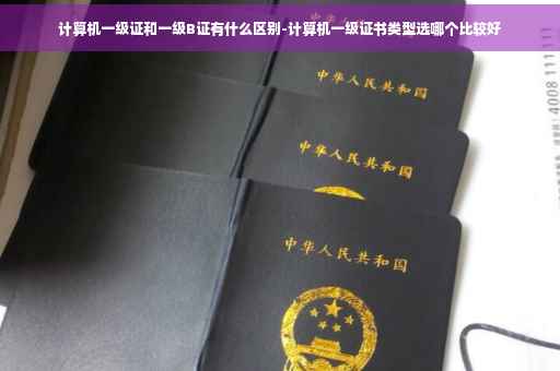 计算机一级证和一级B证有什么区别-计算机一级证书类型选哪个比较好